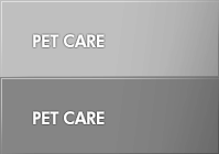 Pet Care