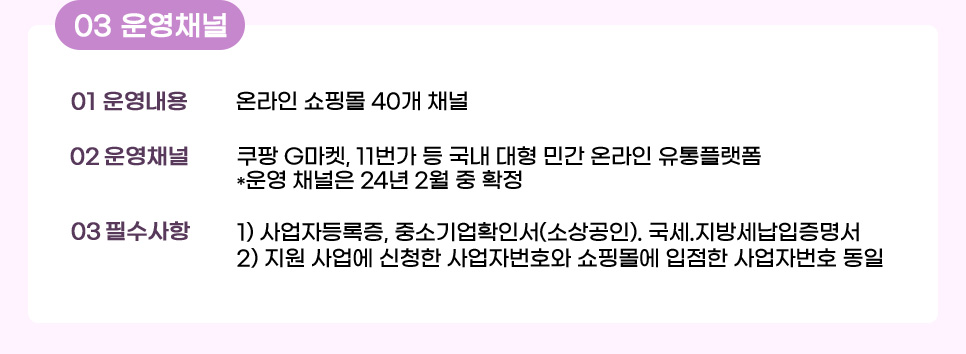 03 운영채널. 01 운영내용: 온라인 쇼핑몰 40개 채널. 02 운영채널: 쿠팡 G마켓, 11번가 등 국내 대형 민간 온라인 유통플랫폼 (운영 채널은 24년 2월 중 확정). 03 필수사항: 3-1. 사업자등록증, 중소기업확인서(소상공인). 국세.지방세납입증명서. 3-2. 지원 사업에 신청한 사업자번호와 쇼핑몰에 입점한 사업자번호 동일