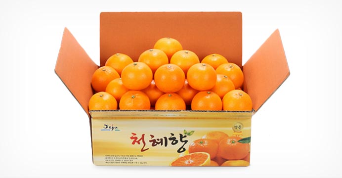 제주 천혜향 3kg 소과 (15~25과/벌크포장)