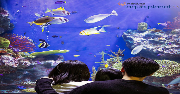 [10%카드할인] 아쿠아플라넷 63 종합권