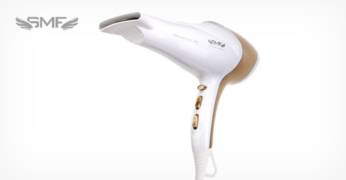 SMF 2200W 전문가용 헤어드라이기+탱글빗 증정
