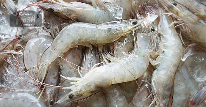 국내산 흰다리새우 생물 1KG 30미내외