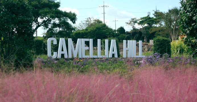 제주 카멜리아힐 입장권