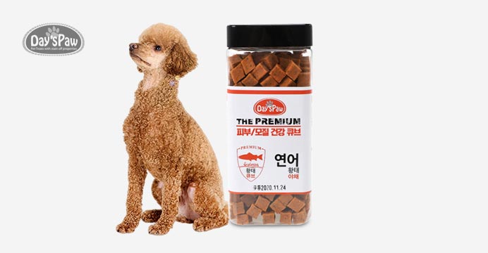 데이스포 피부/모질 건강 큐브 연어황태 600g