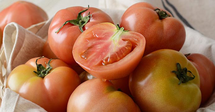 대저 토마토 2.5kg(L)/1-2번과