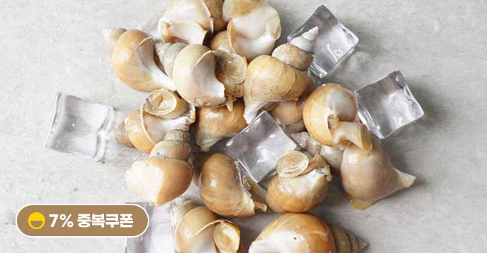 쫄깃 백골뱅이/백고동1KG (생물/50미내외)