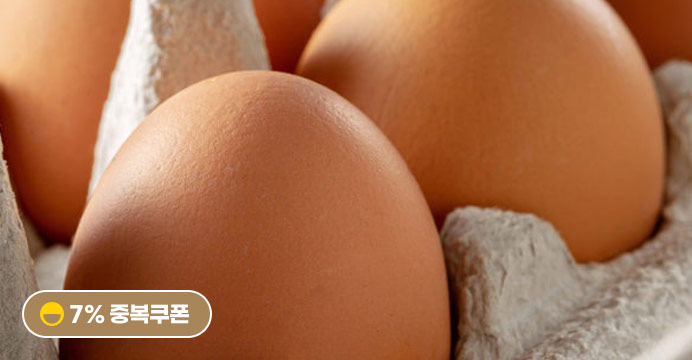 당일산란 무항생제 특란 40구