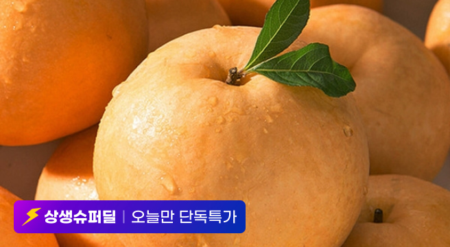 (11%+10%쿠폰) 나주배 첫수확 나주 원황배 3kg(7-8과)/중소과