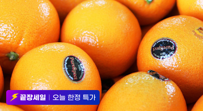 끝장세일 