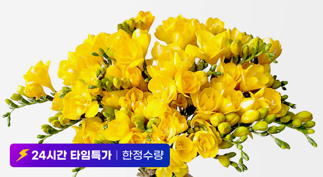 24시간 타임특가 한정수량 