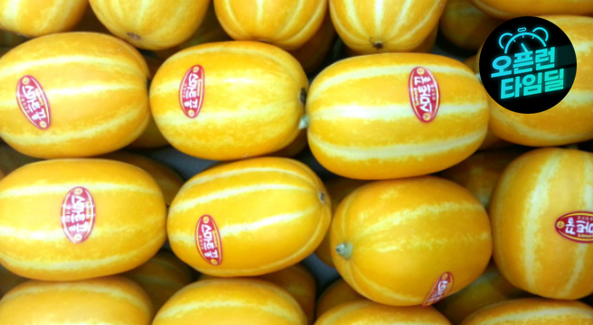 다담농산 성주참외 3시간만 7kg(혼합과/실속가정용)/포장재포함/실중량 도표참조