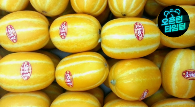 다담농산 성주참외 3시간만 10kg(혼합과/실속가정용)/포장재포함/실중량 도표참조